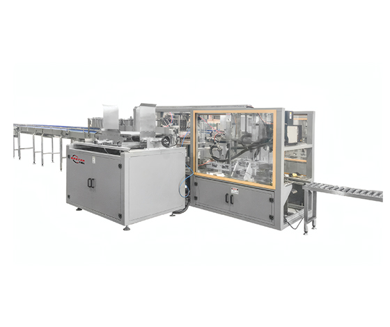 Blank Carton Packing Machine